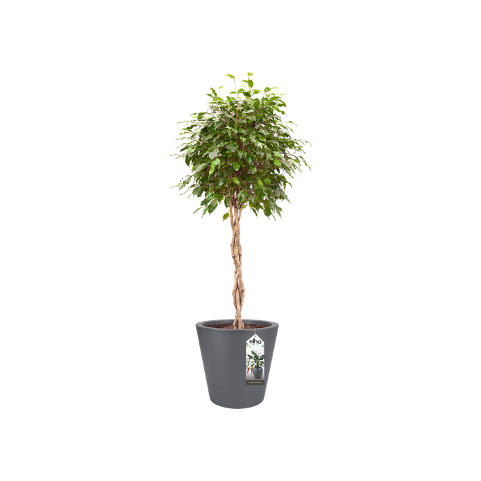 pure straight round 65cm antraciet